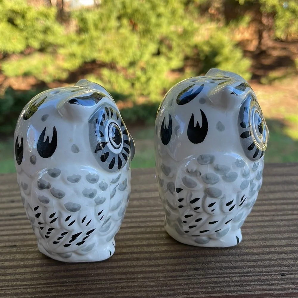 Owl Salt & Pepper Shakers